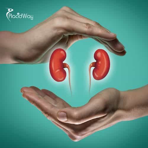 Hope for Kidney Failure Patients: How MexStemsCells Clinic is Helping U.S. Patients Reclaim Their Health